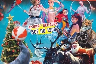 Цирк на льду